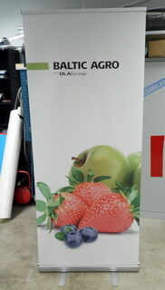 Baltic Agro Rollup