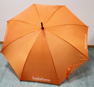 SaidaFarm sateenvarjo