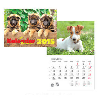 Dog calendar 2. picture