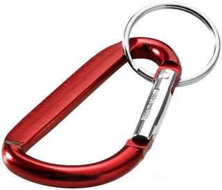 Carabiner key chain 3. picture